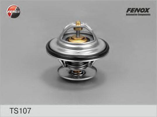 Термостат, охолоджуюча рідина FENOX TS107 Термостат, охолоджуюча рідина FENOX TS107